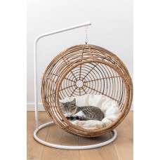 Hanging Basket Pet